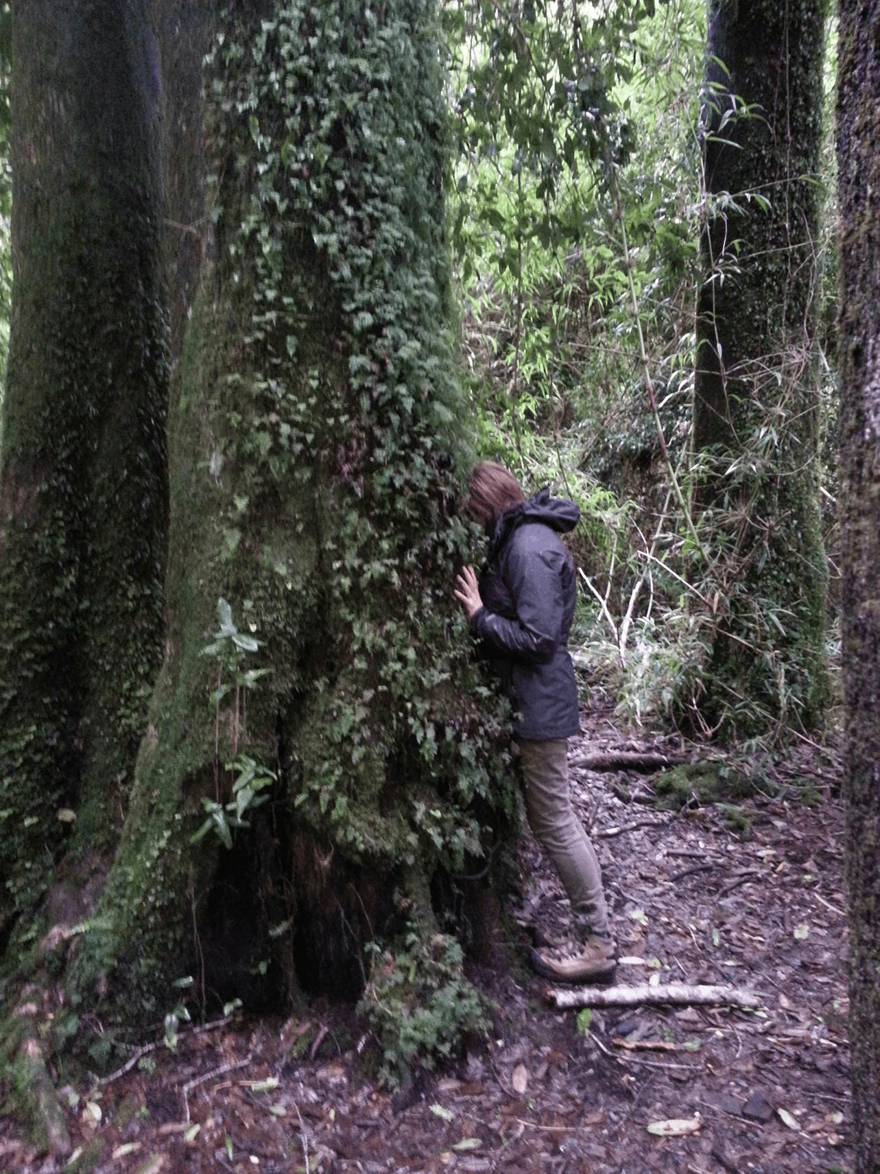 Ivonne abrazando árbol sagrado